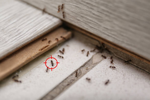 Lusby, MD Pest Control Company