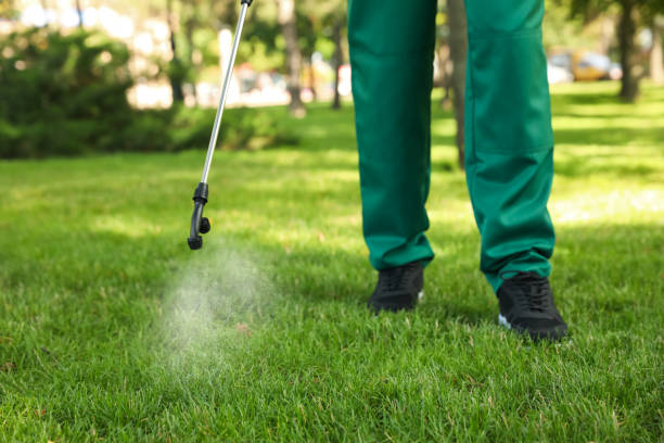 Best Best Pest Control Companies  in Lusby, MD