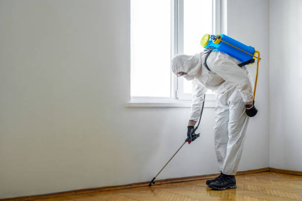 Wildlife Control Services in Lusby, MD