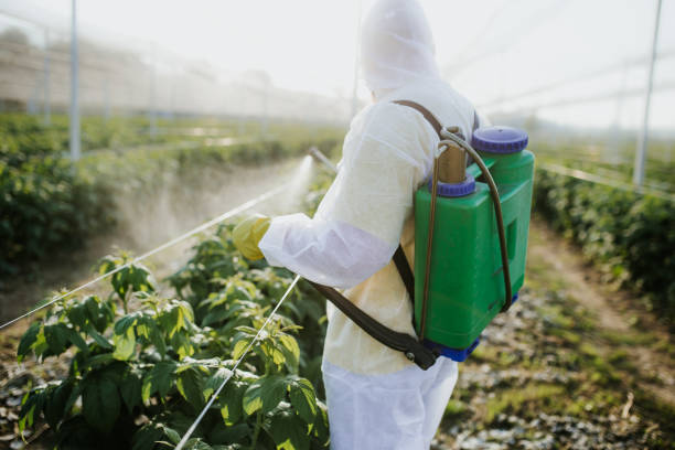 Best Cockroach Control Services  in Lusby, MD